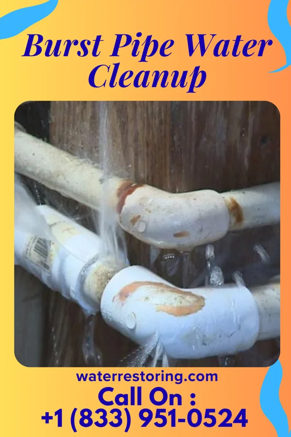 Burst Pipe Water Cleanup in Mahaffey, PA