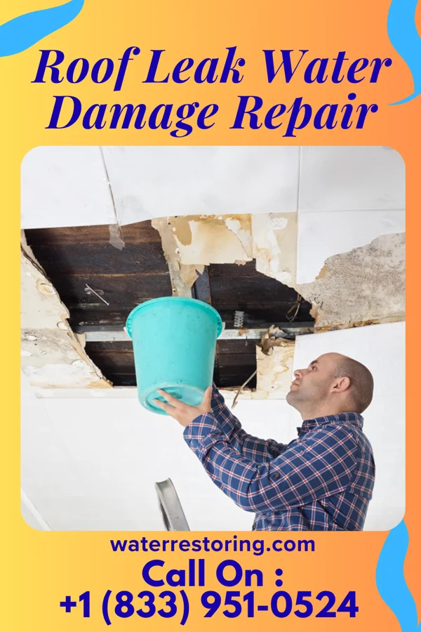 Roof Leak Water Damage Repair in Mahaffey, PA