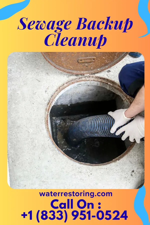 Sewage Backup Cleanup in Mahaffey, PA