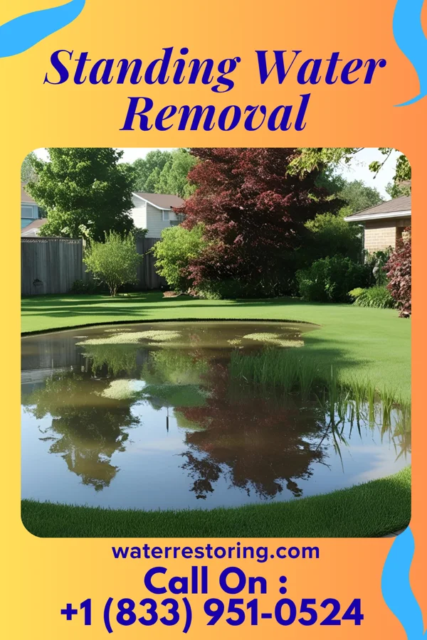 Standing Water Removal in Mahaffey, PA